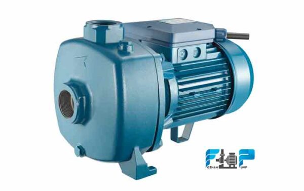 پمپ آب دو پروانه پنتاکس ایتالیا مدل MBT300/00